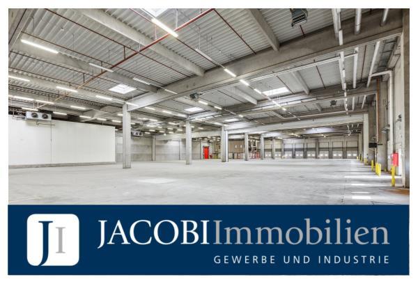 ca. 14.264 m² Hallenfläche (teilbar ab ca. 2.262 m²) und ca. 1.673 m² Büro, 39171 Sülzetal, Halle/Lager/Produktion