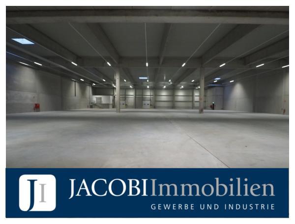 ab ca. 3.248 m² bis ca. 7.333 m² Lager-/Fertigungsflächen, 22880 Wedel, Halle/Lager/Produktion