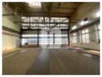 ca. 807 m² ebenerdige Hallenfläche mit Kranbahnen und integriertem Meisterbüro - Innenansicht3